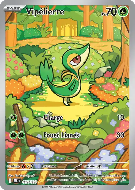 Vipélierre 087/086 - Foudre Noir - Pokémon fr 2025